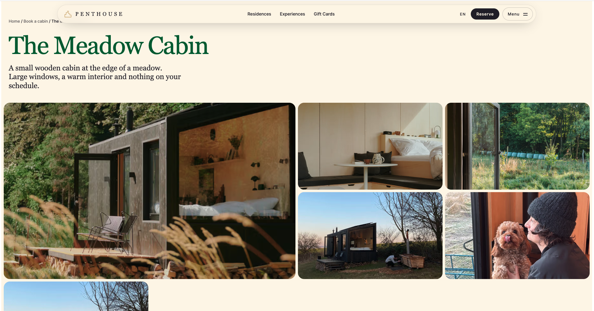 Cabin House screen 3